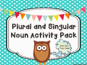 Plural and Singular Activity Pack
