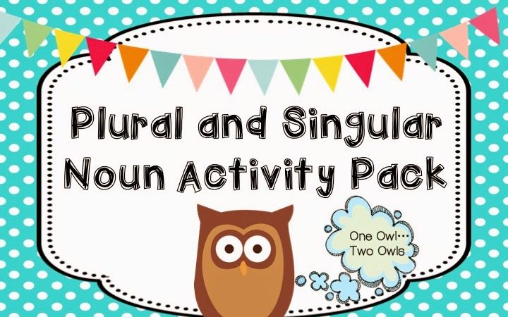 Plural and Singular Activity Pack