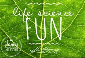 Life Science Fun